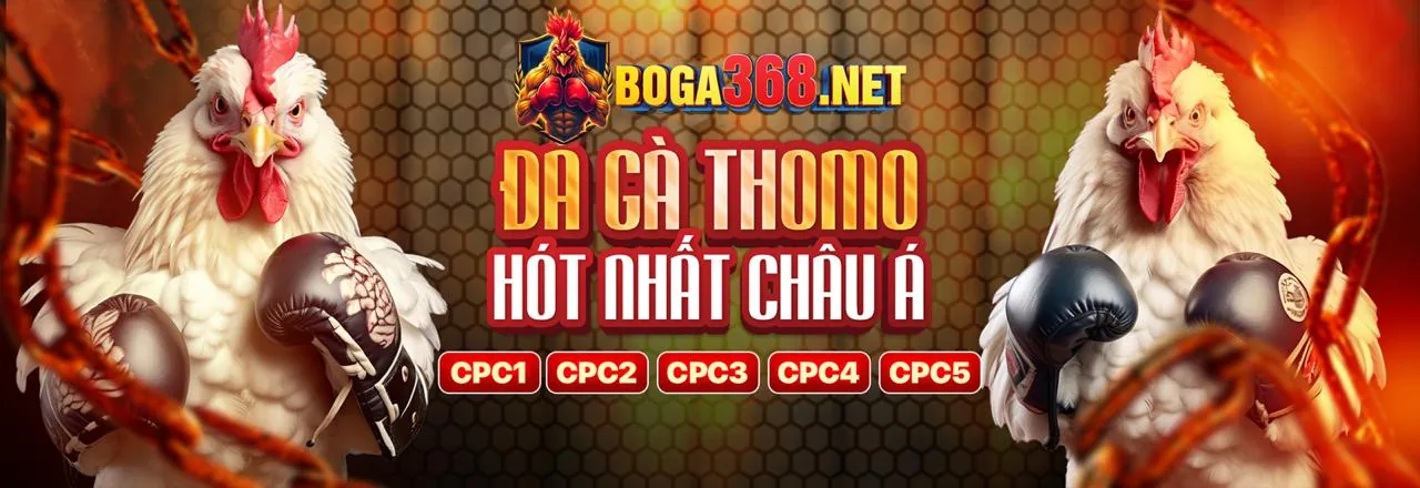 Câu lạc bộ VIP bin88 casino