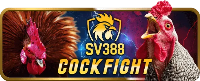 Cá cược quần vợt với Grand Slam, ATP, WTA tại Bin88 Casino