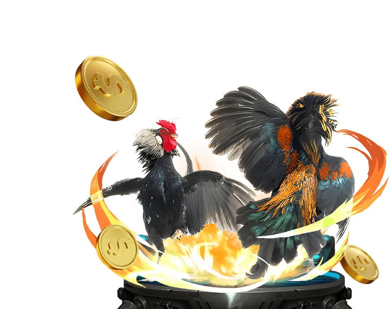 Giới thiệu về bin88 casino